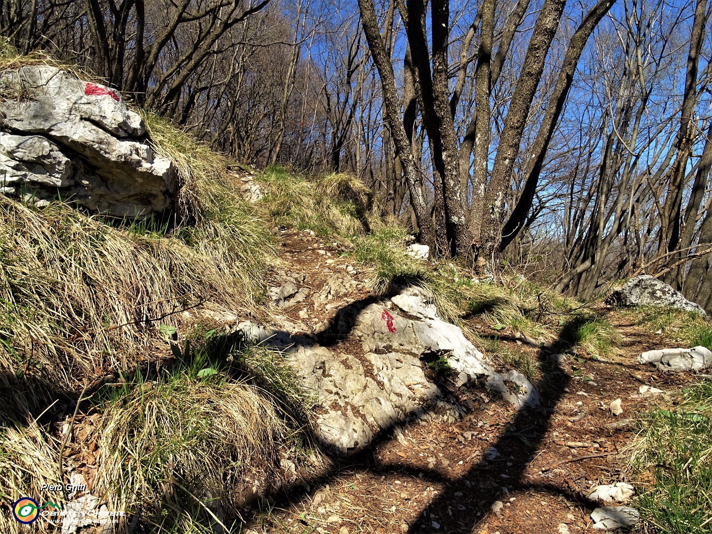 56 Al bivio seguendo la freccia rossa prendo a dx per raggiungere il sent. 507 in cresta .JPG